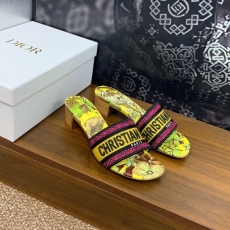 Christian Dior Slippers